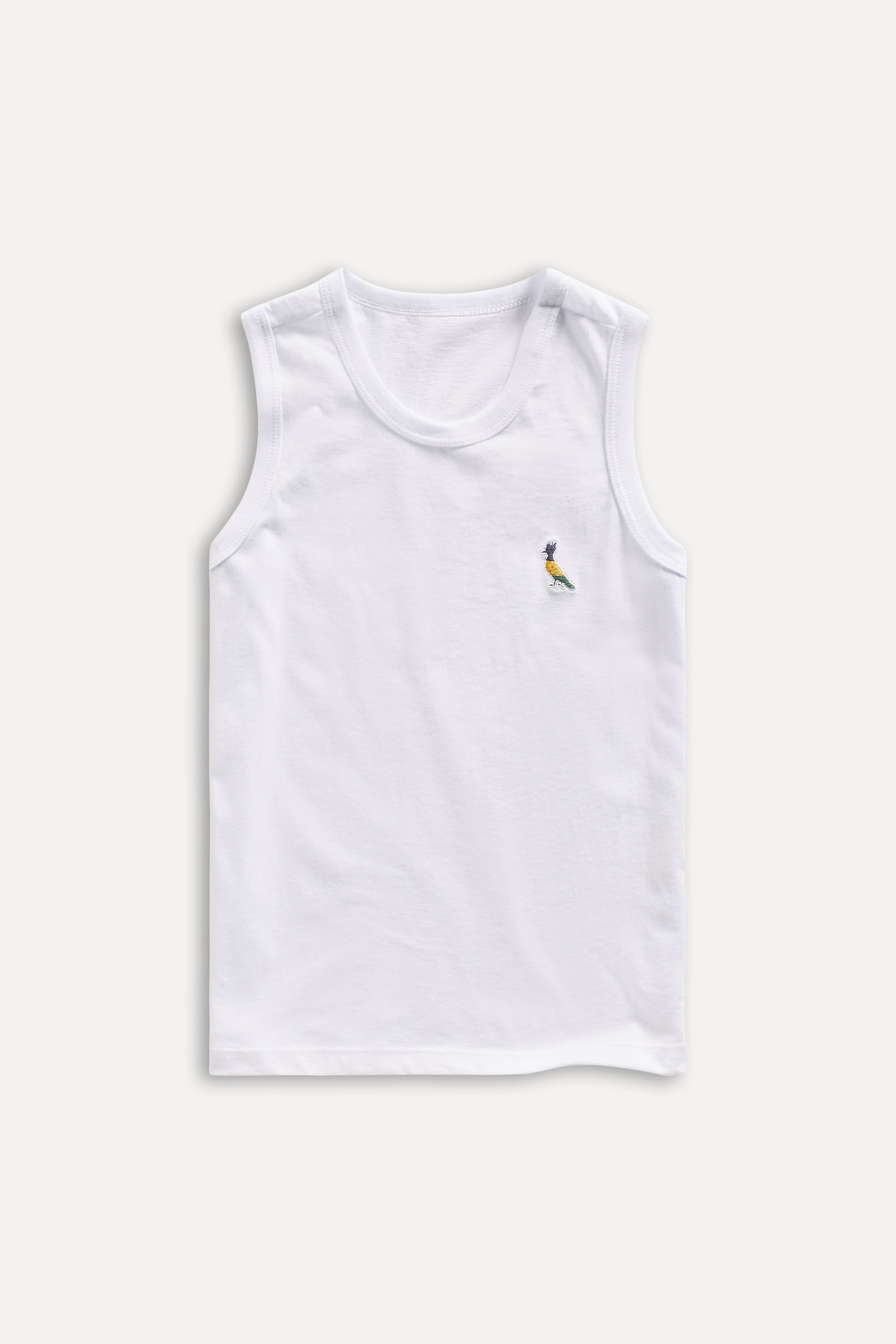 Regata Mini Rsv Brasil