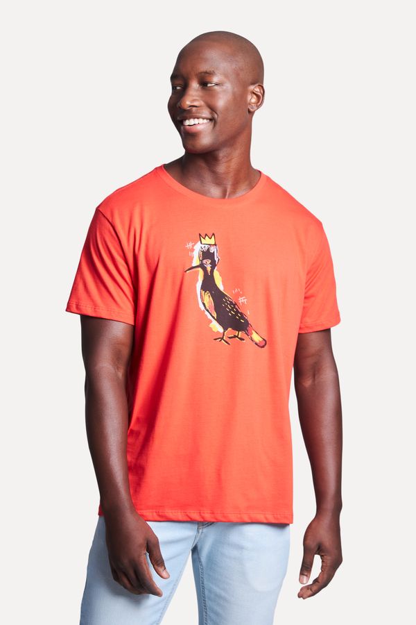 Camiseta Estampada Pica Pau Basquiat