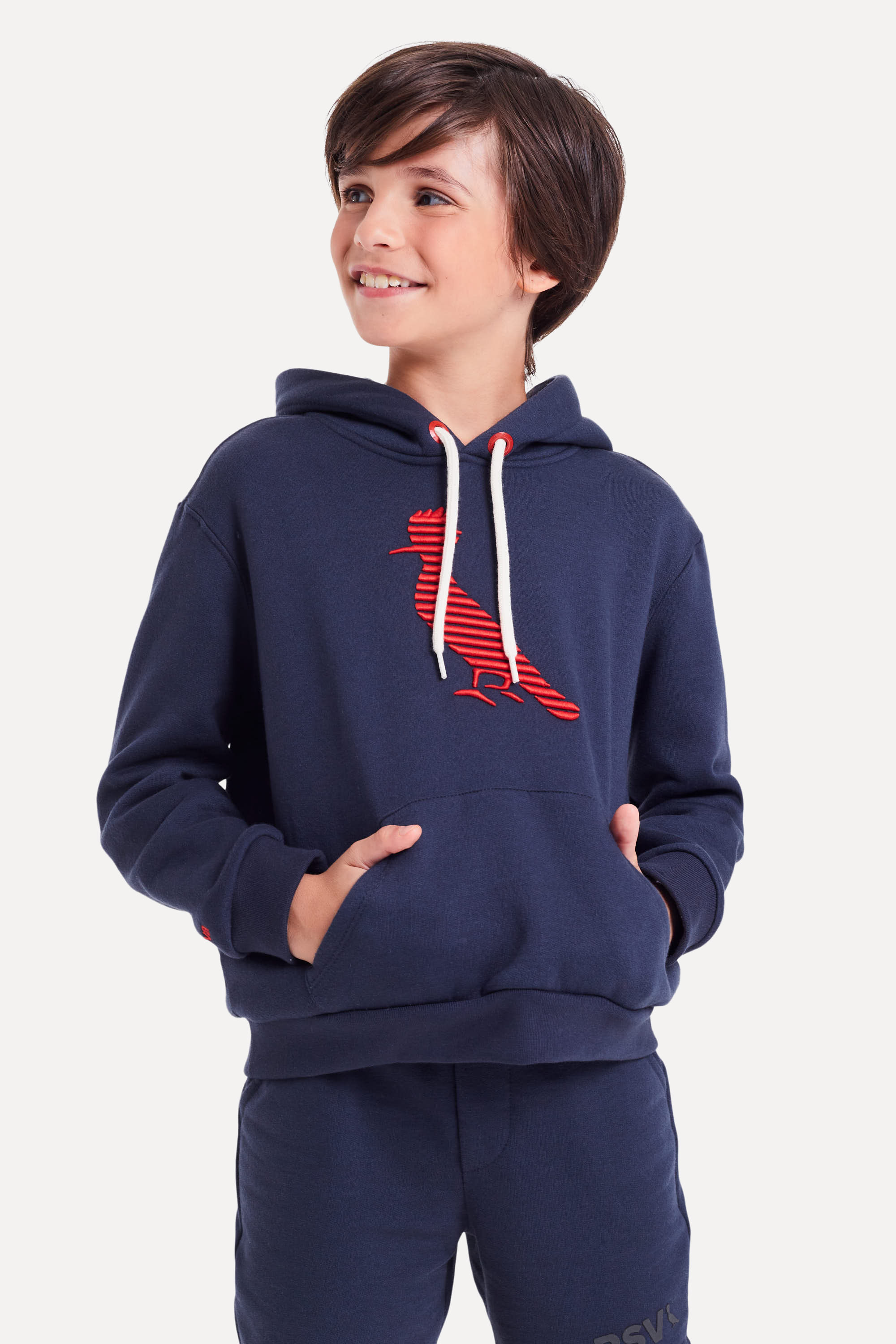 Hoodie Mini Moletom Pica Pau Listrado 3d