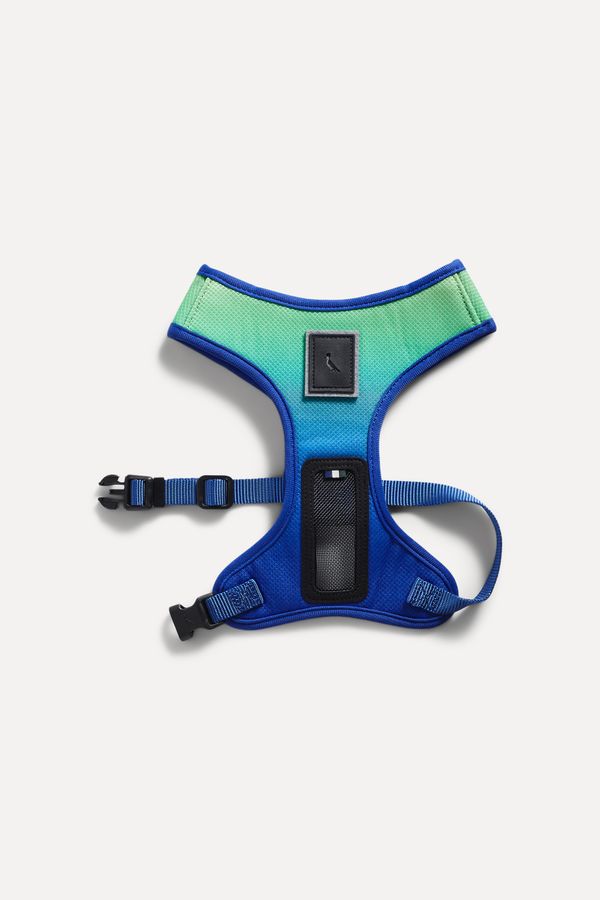 Peitoral Mesh Degrade