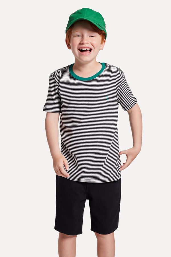 Camiseta Mini Listradinho Color