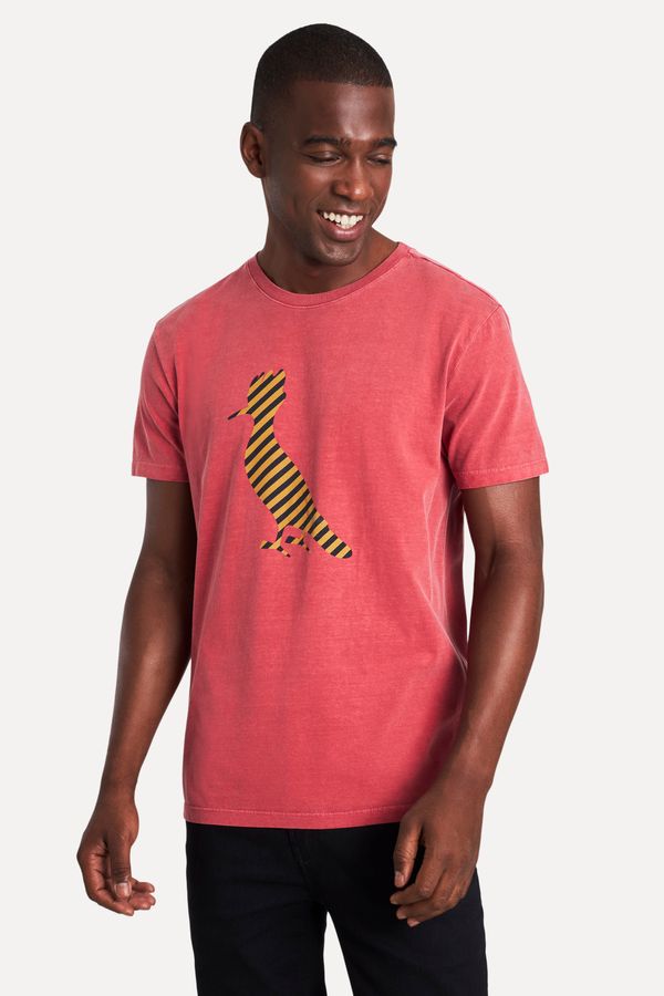 Camiseta Estampada Pica-pau Listras