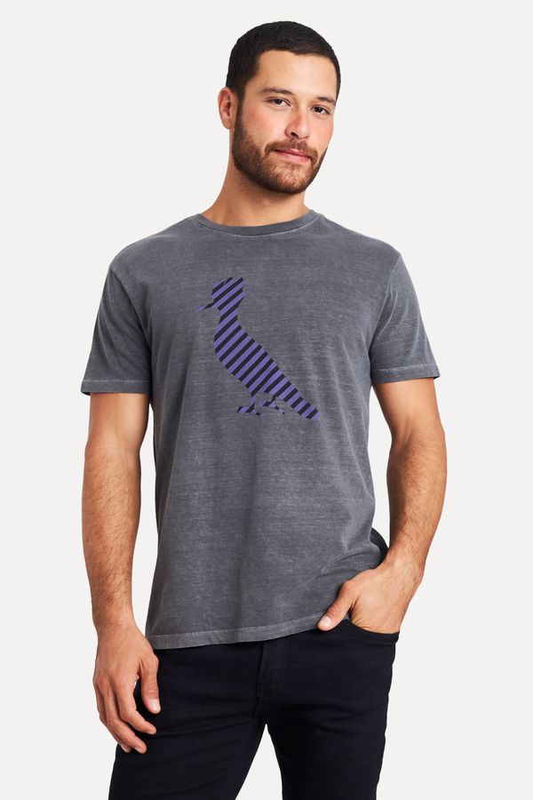 Camiseta Estampada Pica-pau Listras
