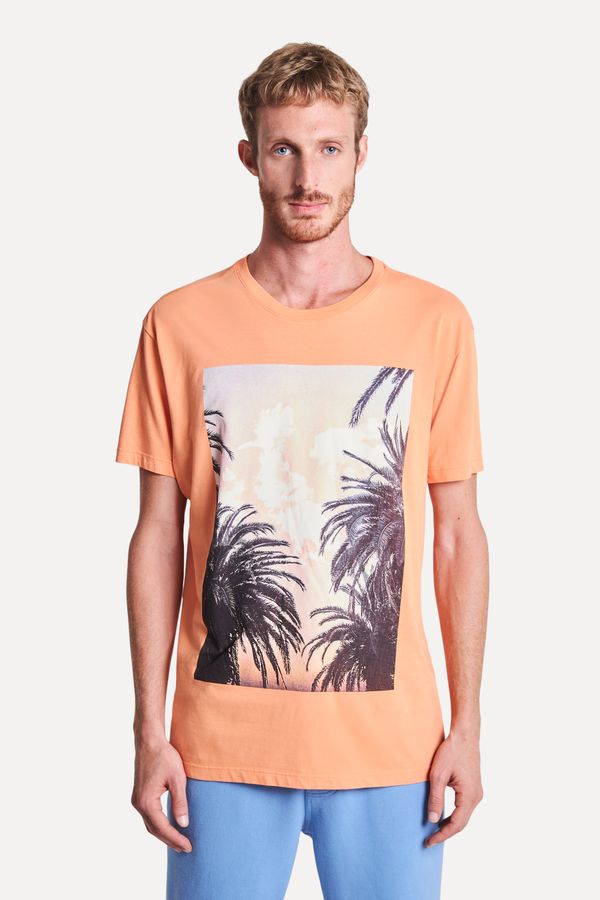 Camiseta Estampada Pica Pau Ceu