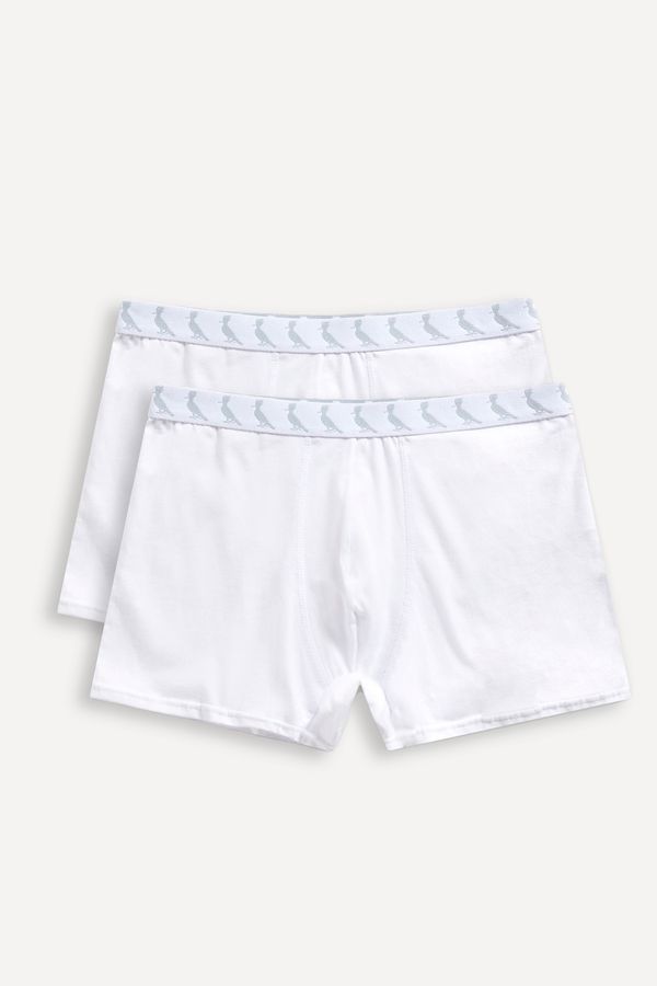 Kit 2 Cuecas Boxer Pica Pau Monocromatic