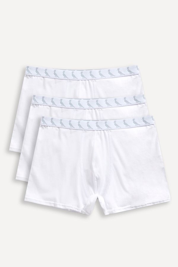 Kit 3 Cuecas Boxer Pica Pau Monocromatic