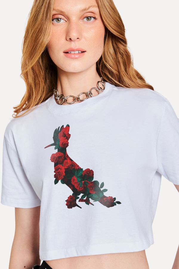 Cropped Roses