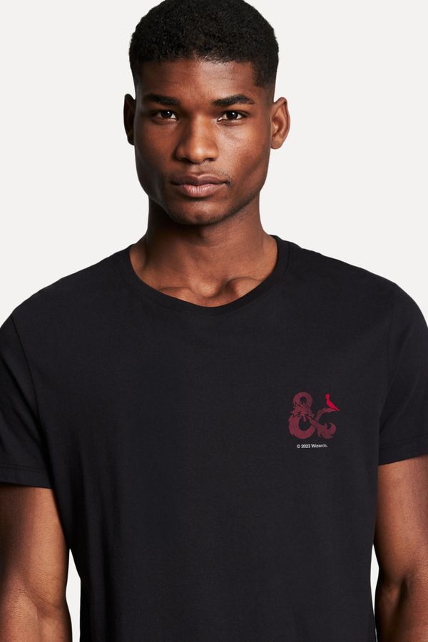Camiseta D&d & Dragon