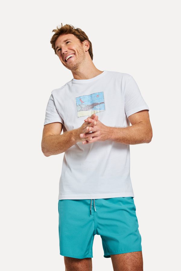 Camiseta Estampada Pico