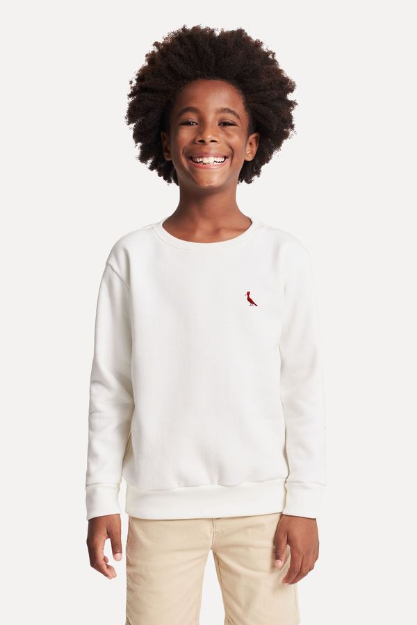 Moletom Mini Careca Brasa Pp Bordado