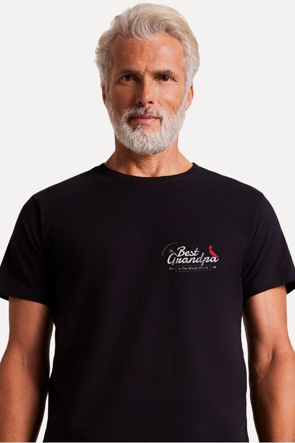 Camiseta Best Grandpa