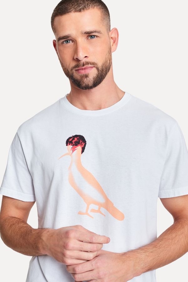 Camiseta Estampada Pica-pau Camaleao