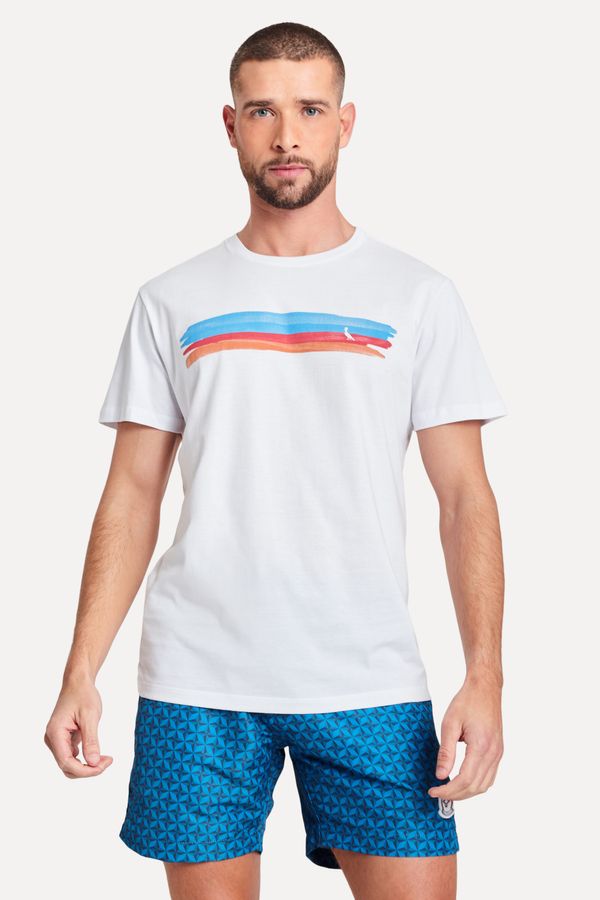 Camiseta Estampada Cores Barrado Abr