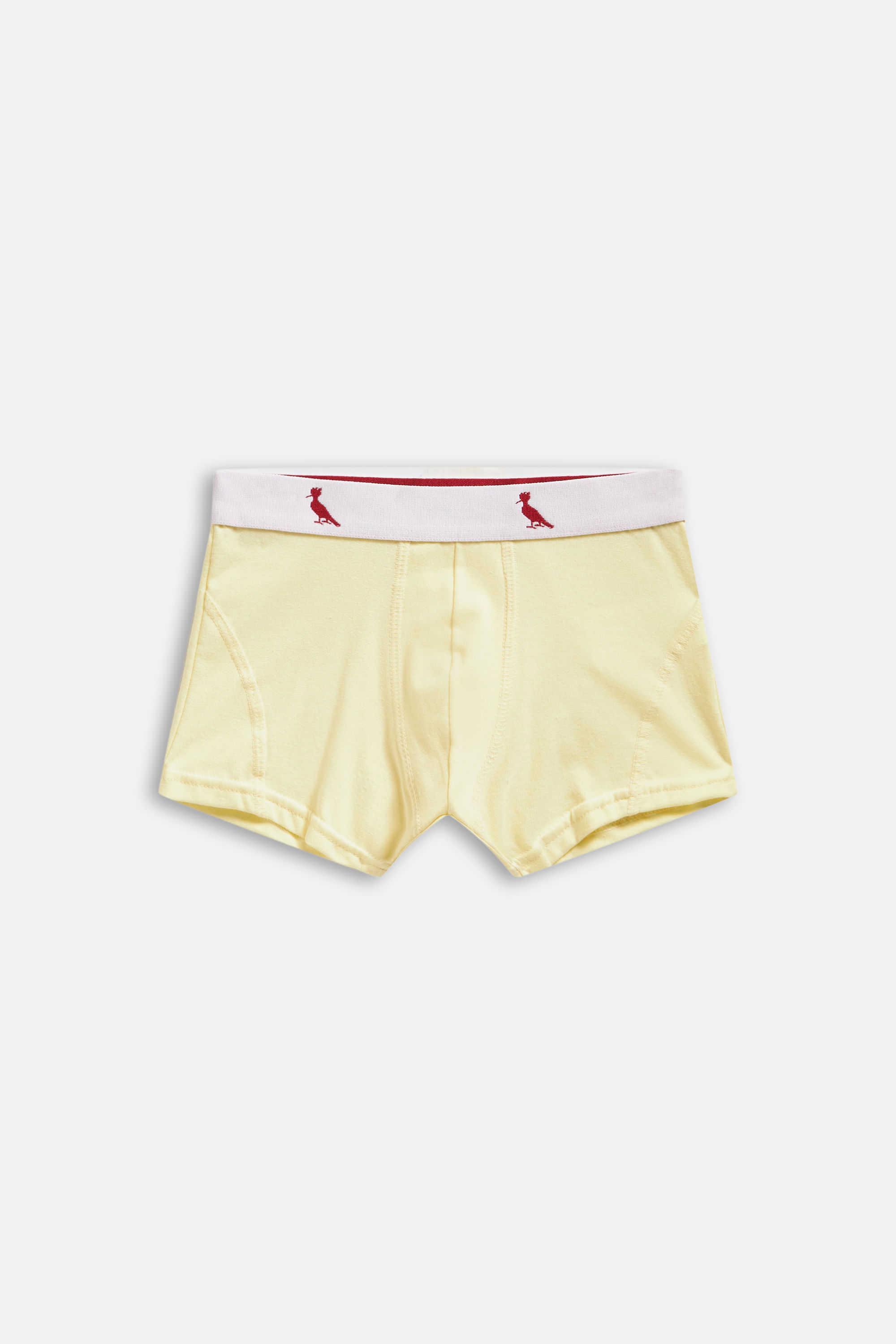 Cueca Boxer Mini Lisa