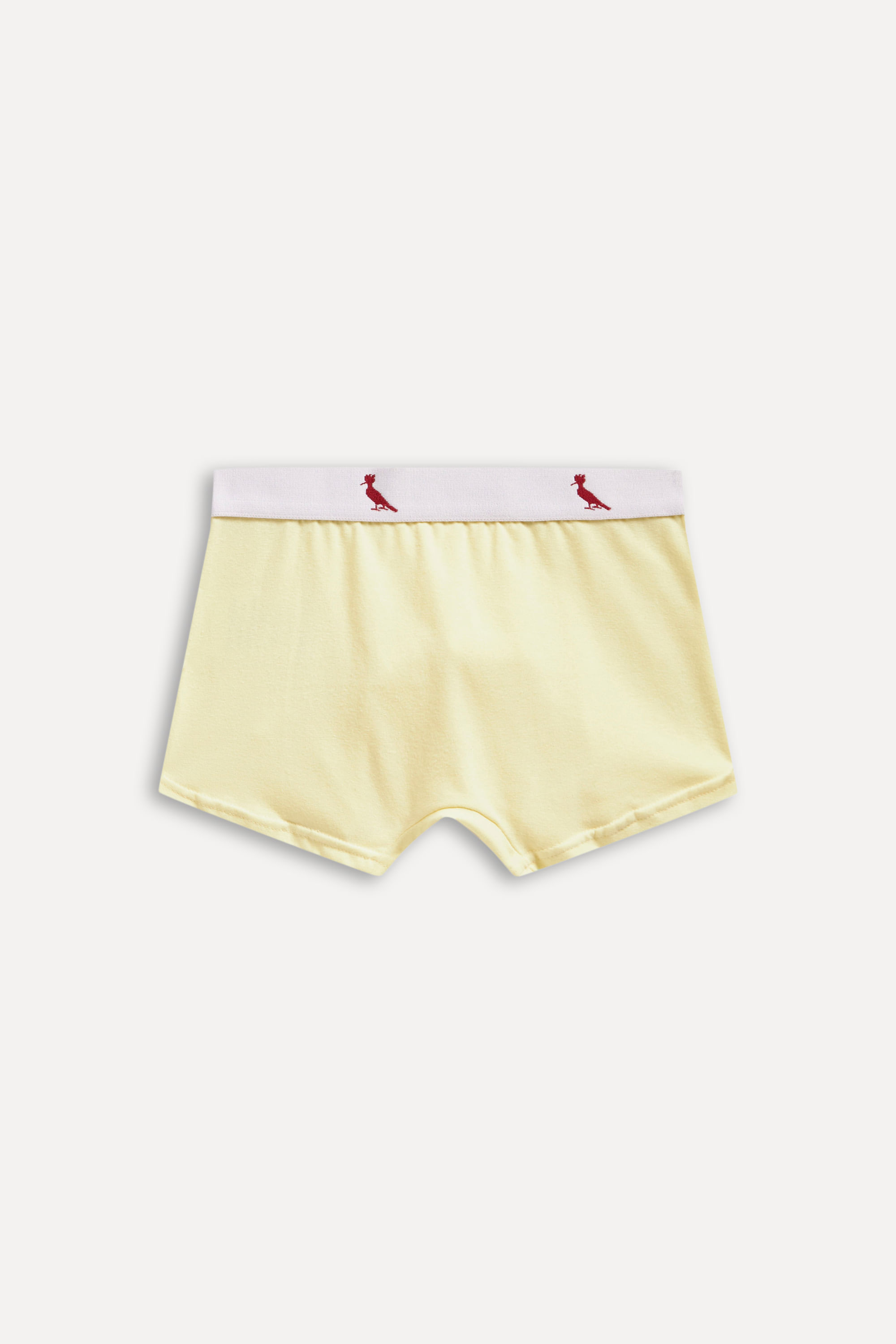 Cueca Boxer Mini Lisa