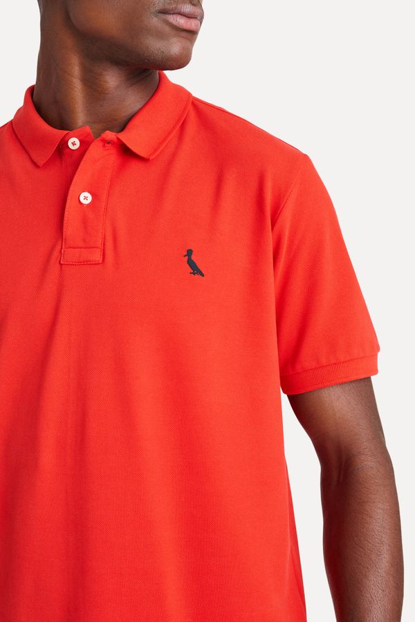 Polo Piquet Contraste Special Edition