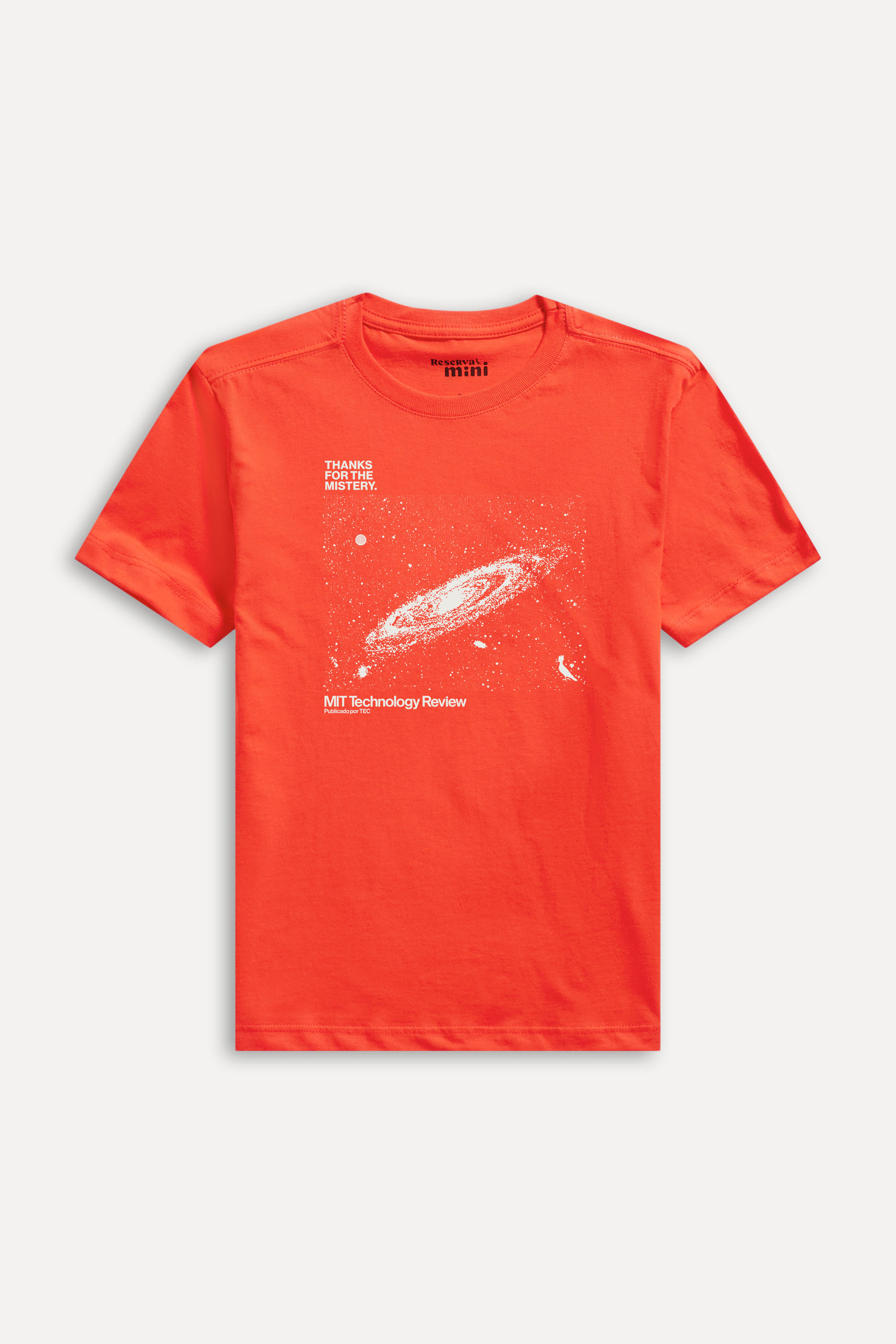 Camiseta Mini Mistery