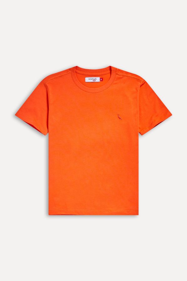 Camiseta Mc Mini Bordado Pica Pau No Tom