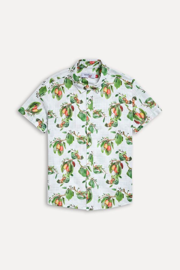 Camisa Mini Mc Cajueiro Claro