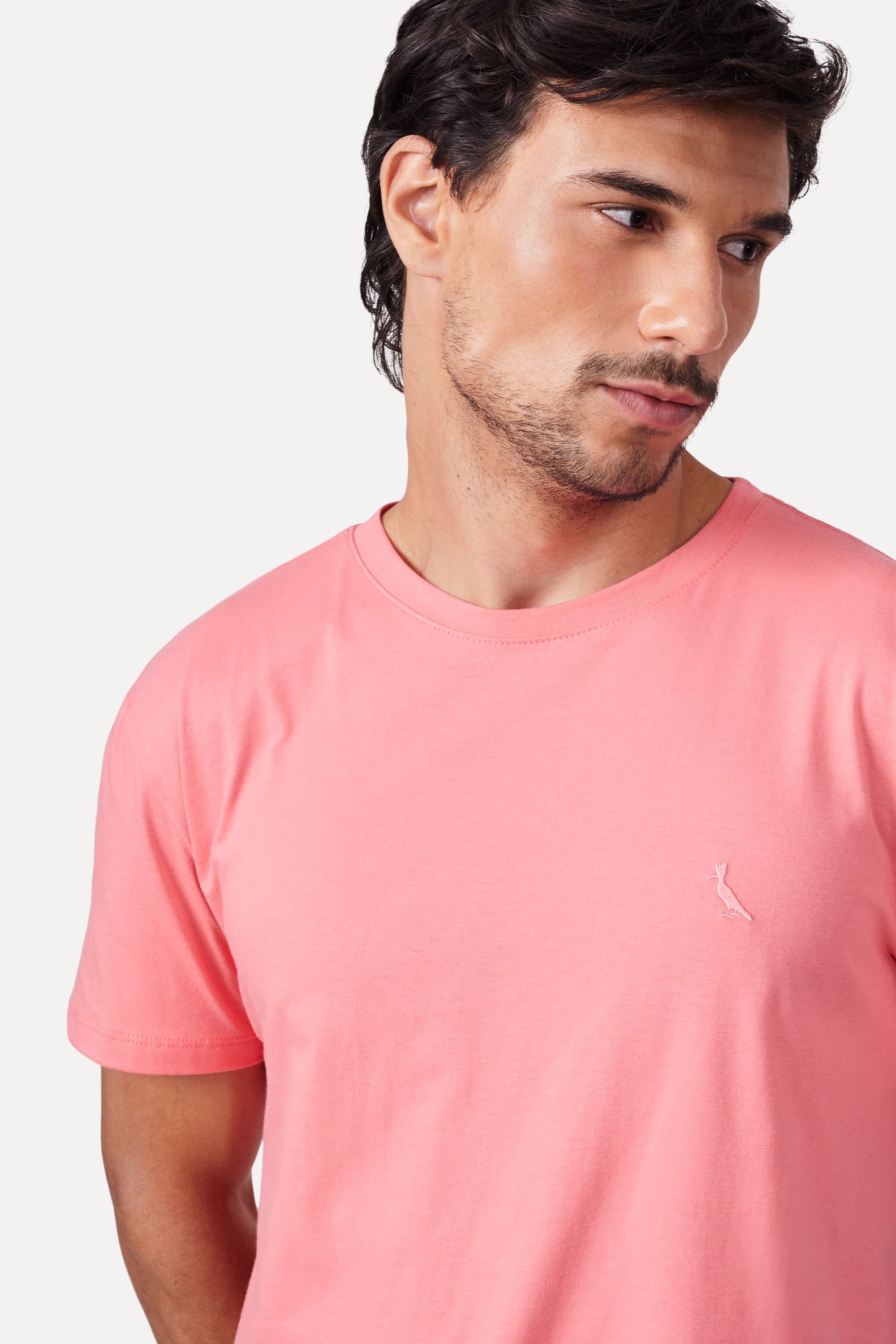 Camiseta Regular Rsv Pica Pau