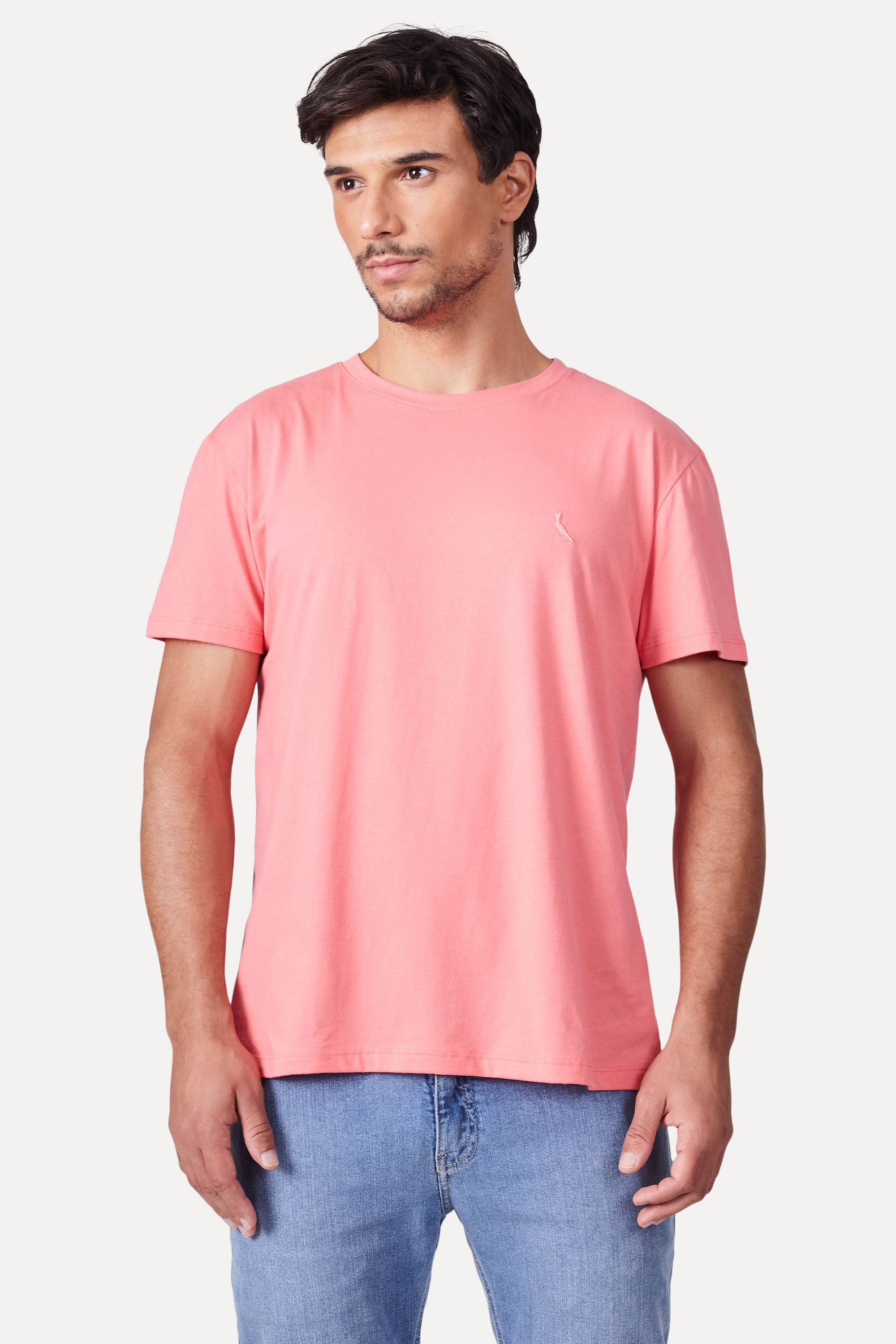 Camiseta Regular Rsv Pica Pau