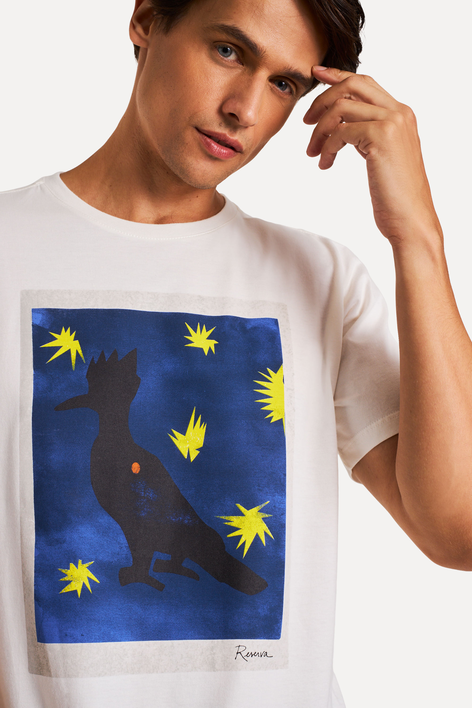 Camiseta Estampada Pica Pau Icarus