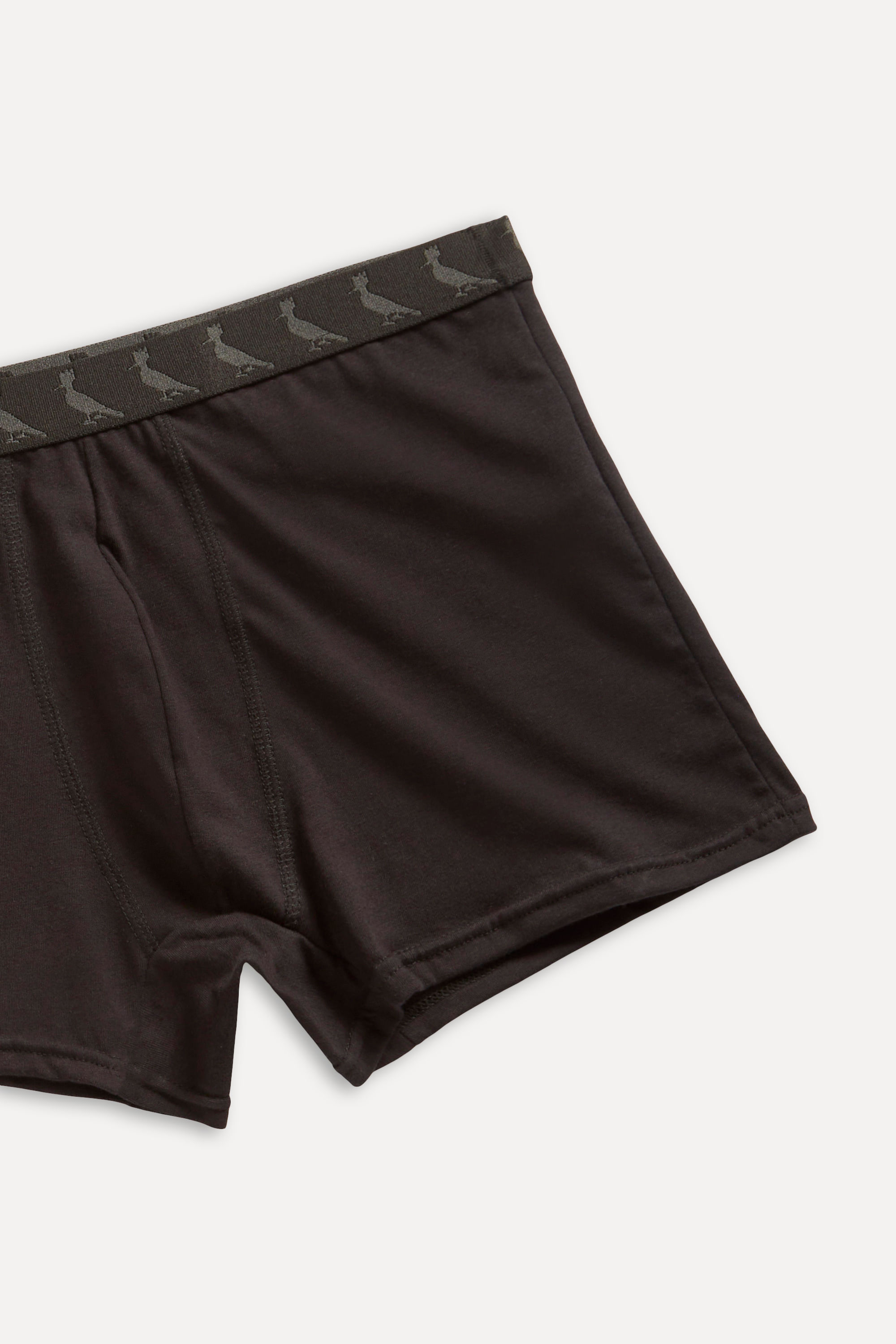 Cueca Boxer Basica New