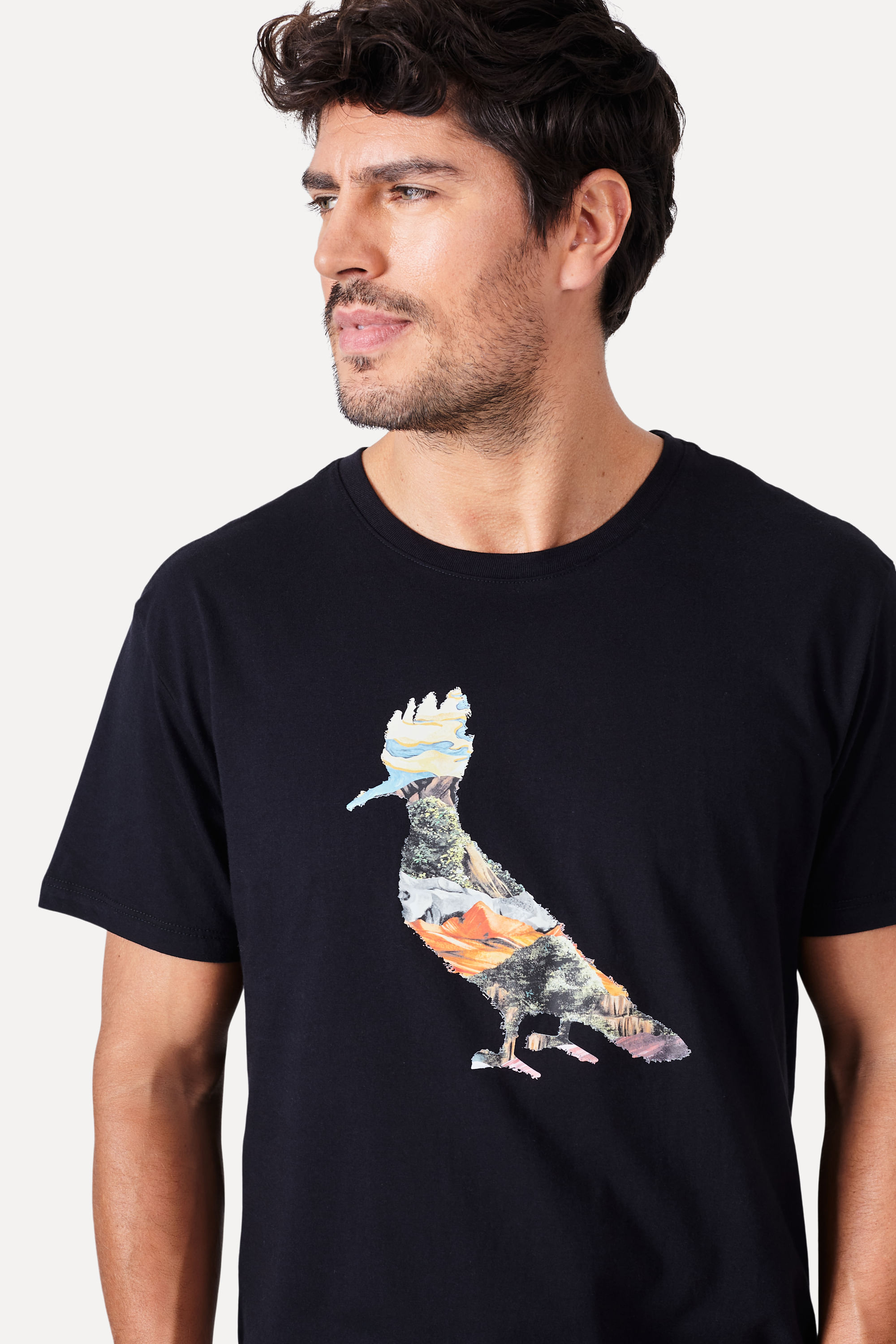 Camiseta Slim Pica Pau Landscapes