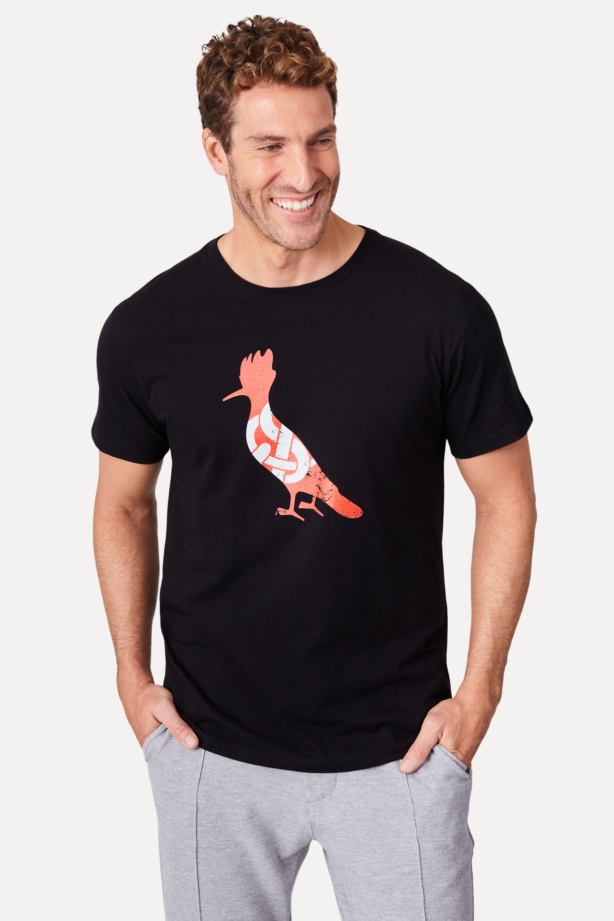 Camiseta Estampada Pica Pau Inter