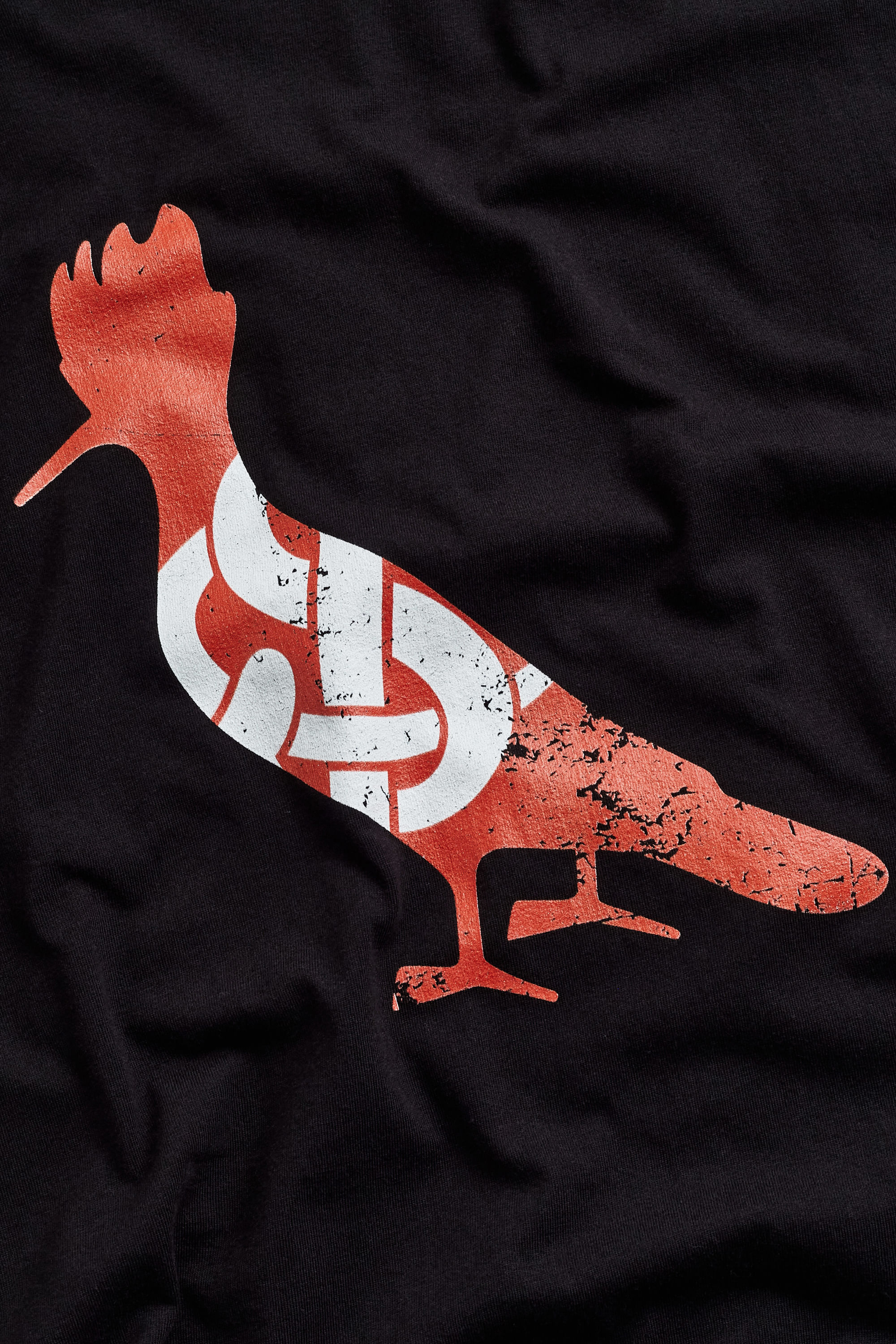 Camiseta Estampada Pica Pau Inter