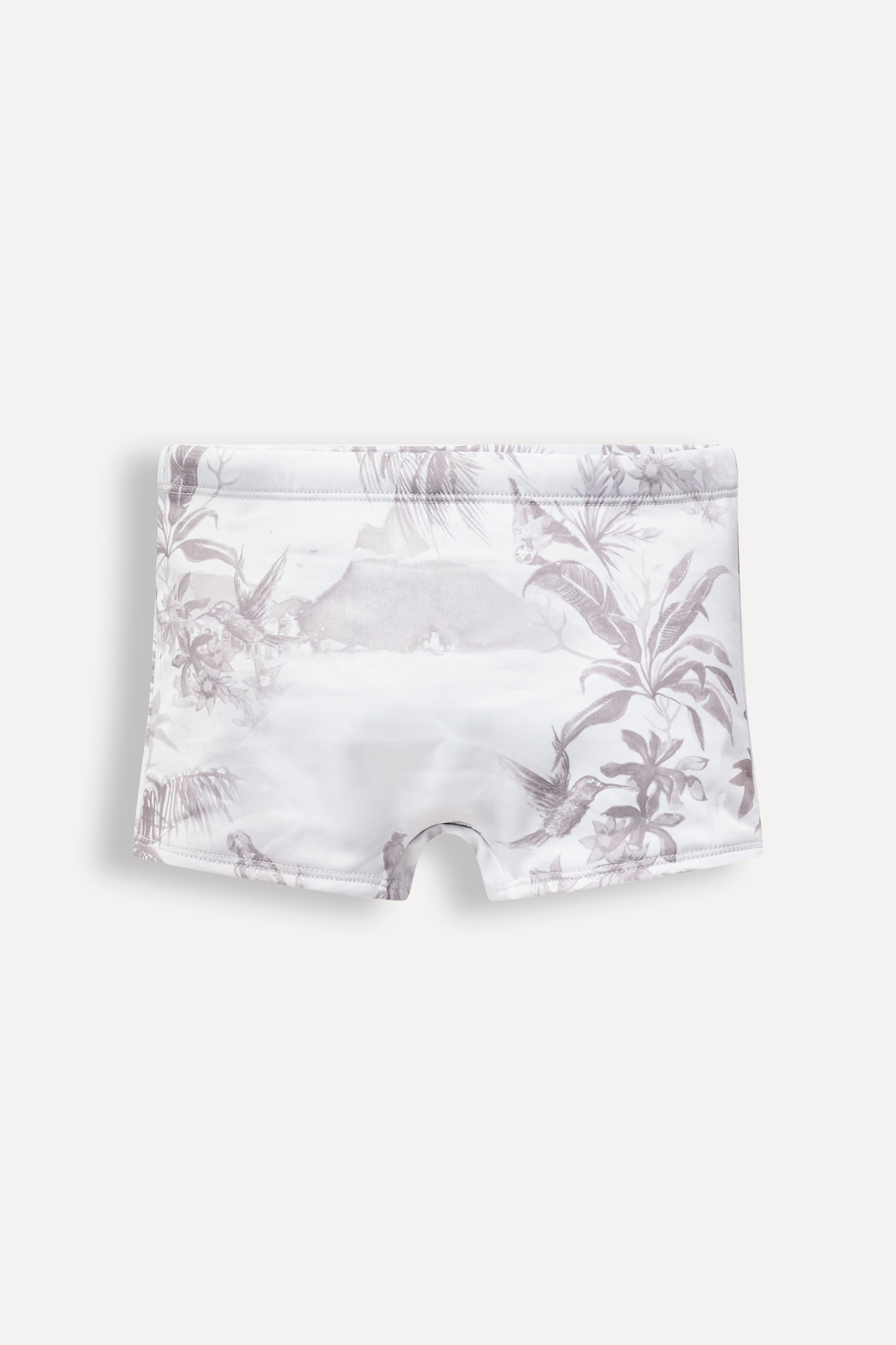 Sunga Short Gray Paradise