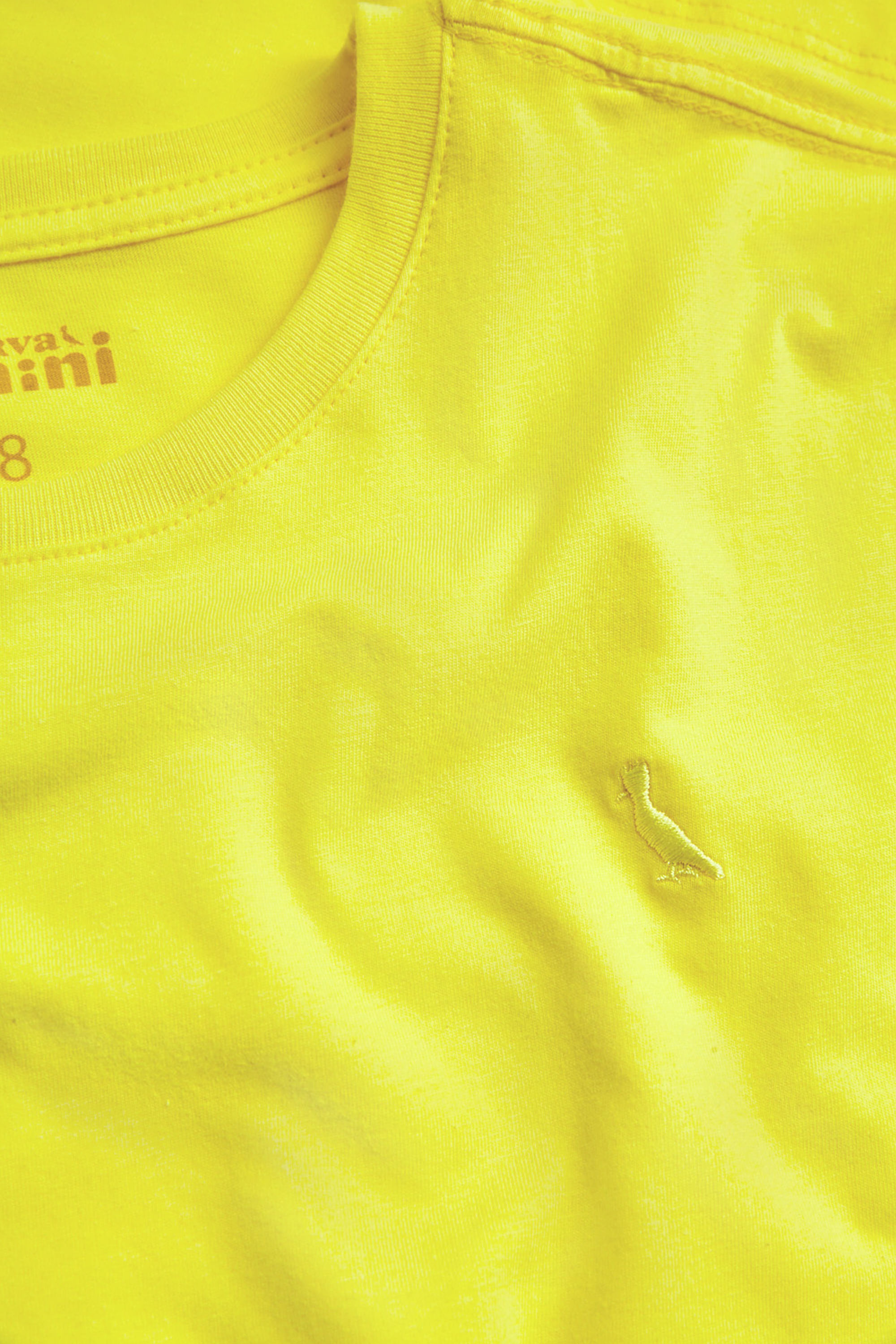 Camiseta Mc Mini Careca Basica