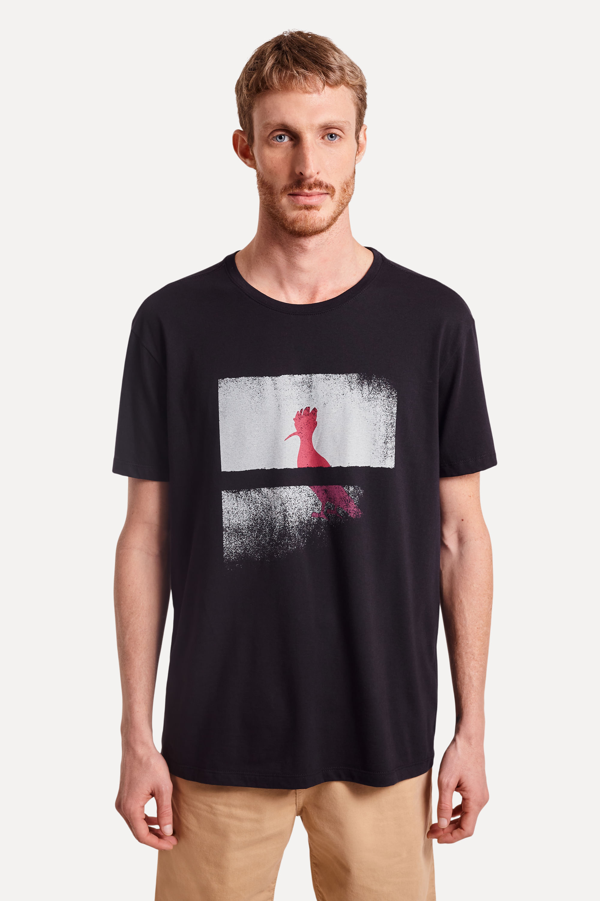 Camiseta Estampada Pica-pau Dimension