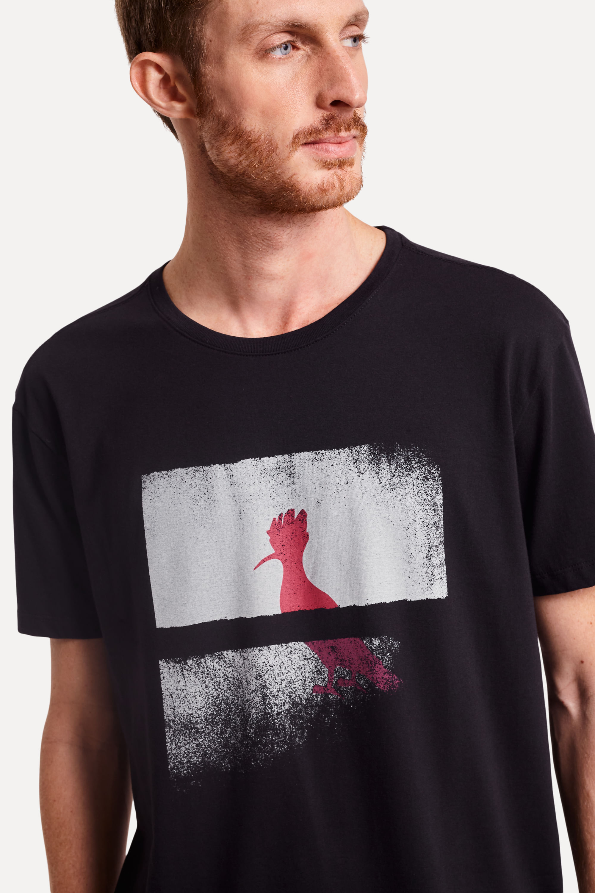 Camiseta Estampada Pica-pau Dimension