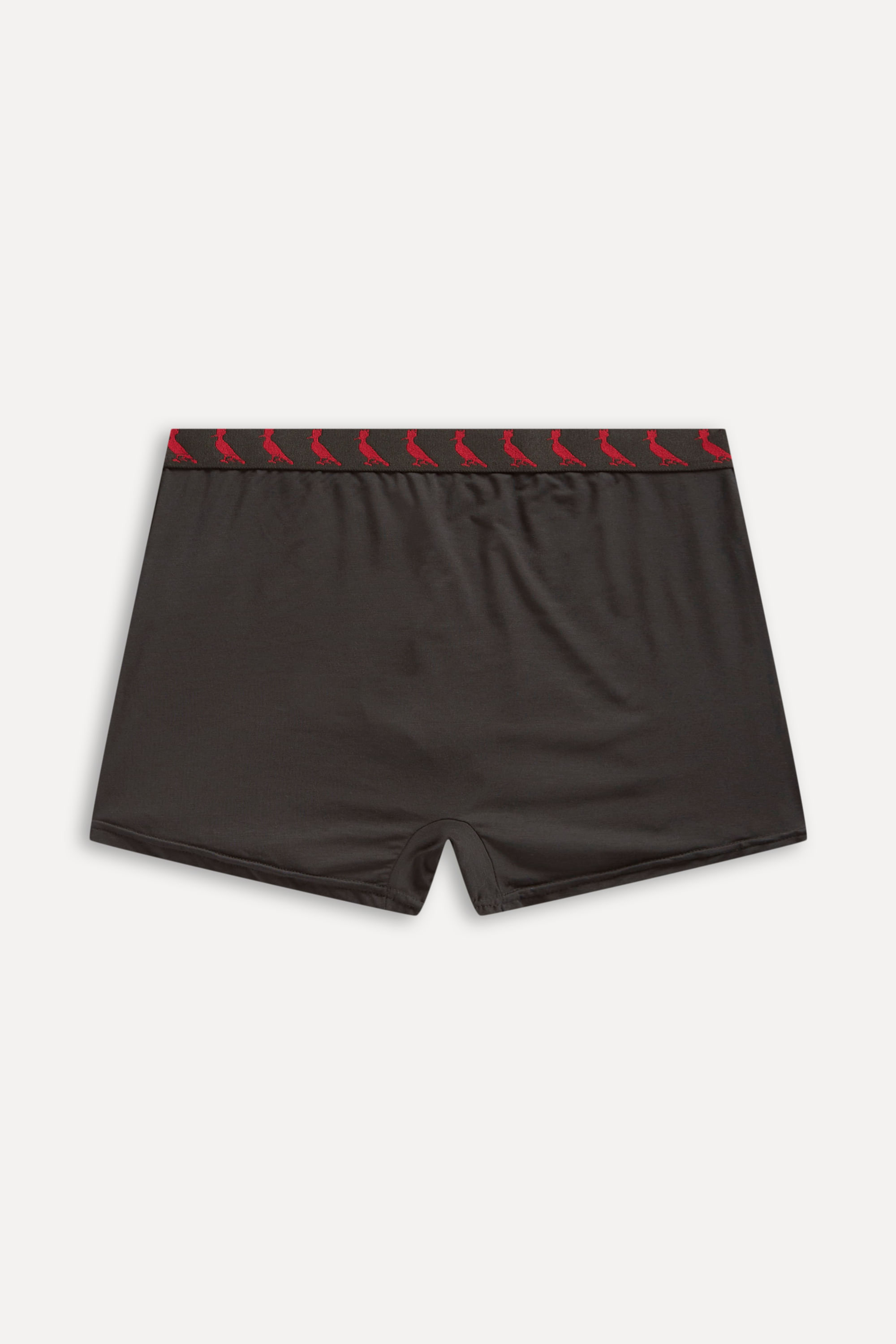 Cueca Boxer Modal New
