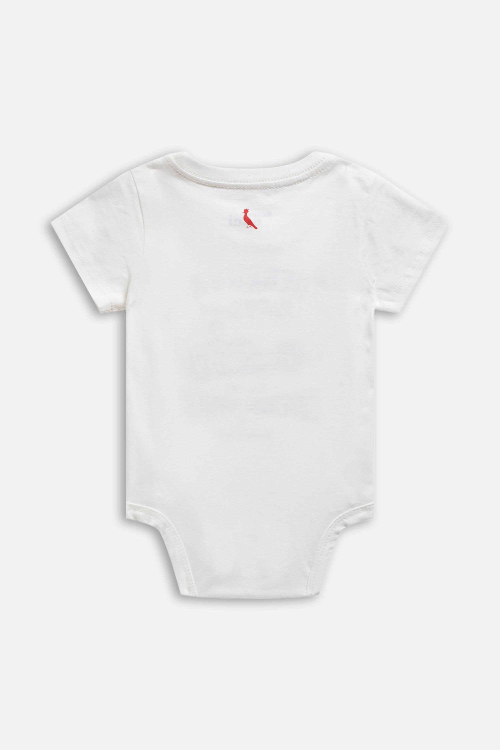 Body Mc Bb Est Superior Drivers