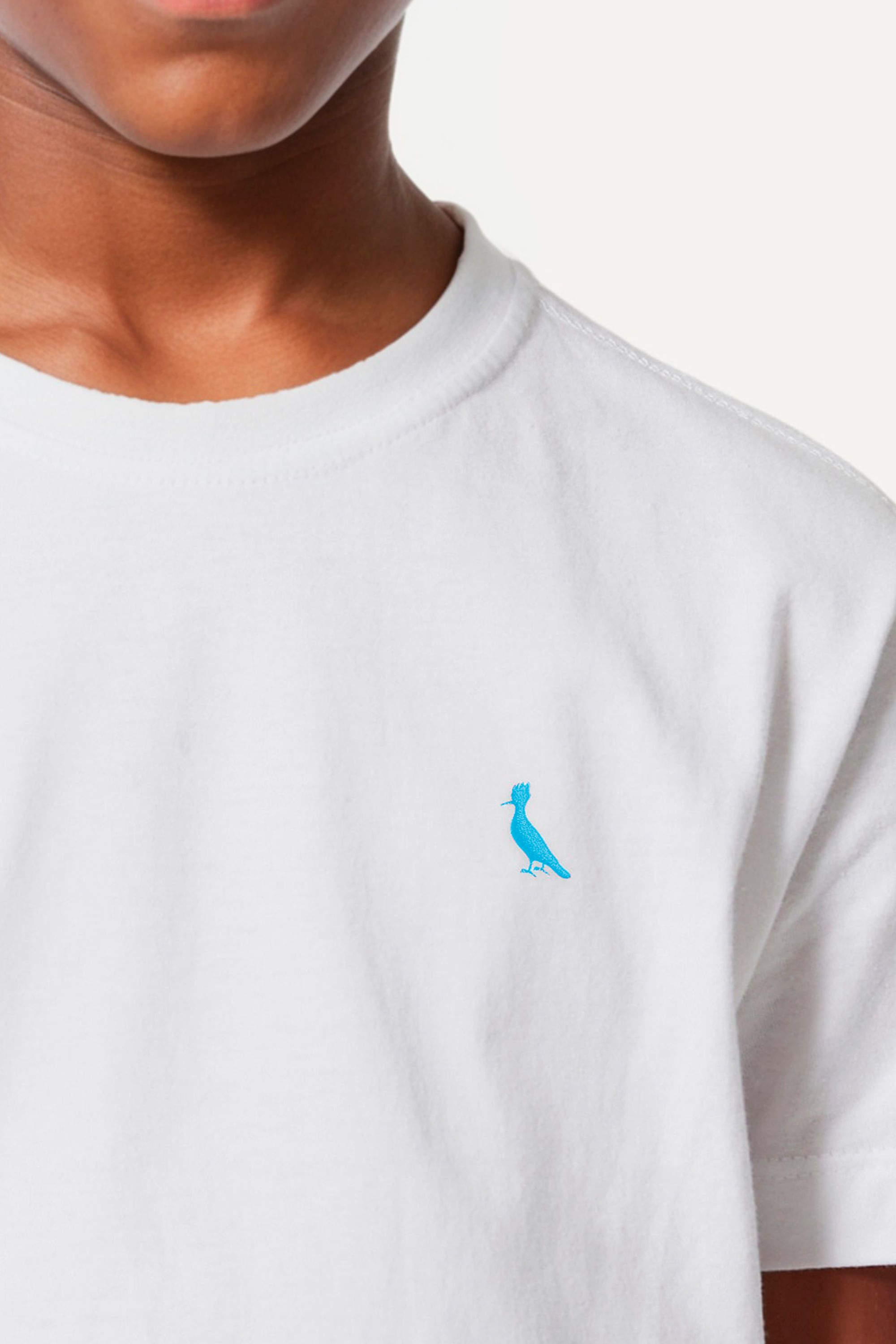 Camiseta Mini Pica Pau Bordado Ceu