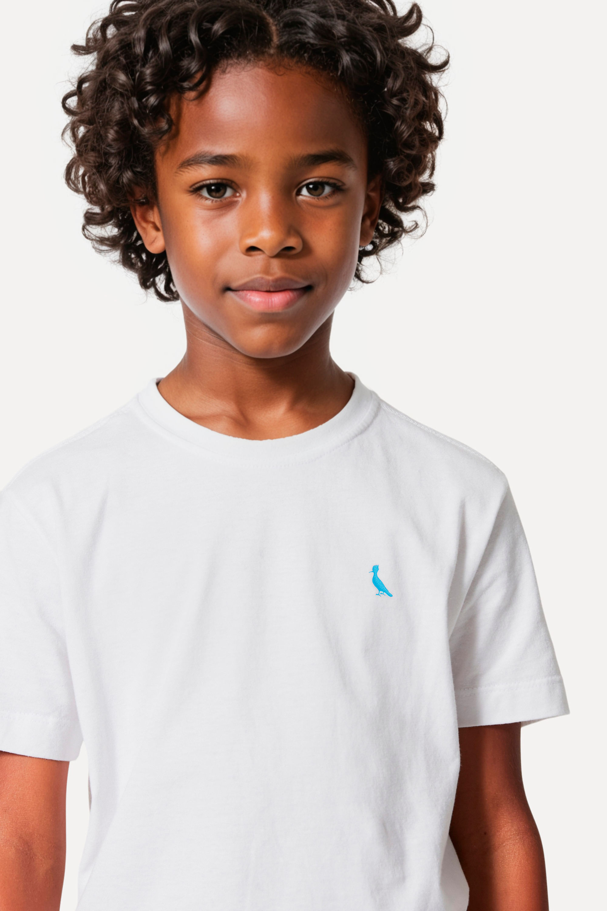 Camiseta Mini Pica Pau Bordado Ceu