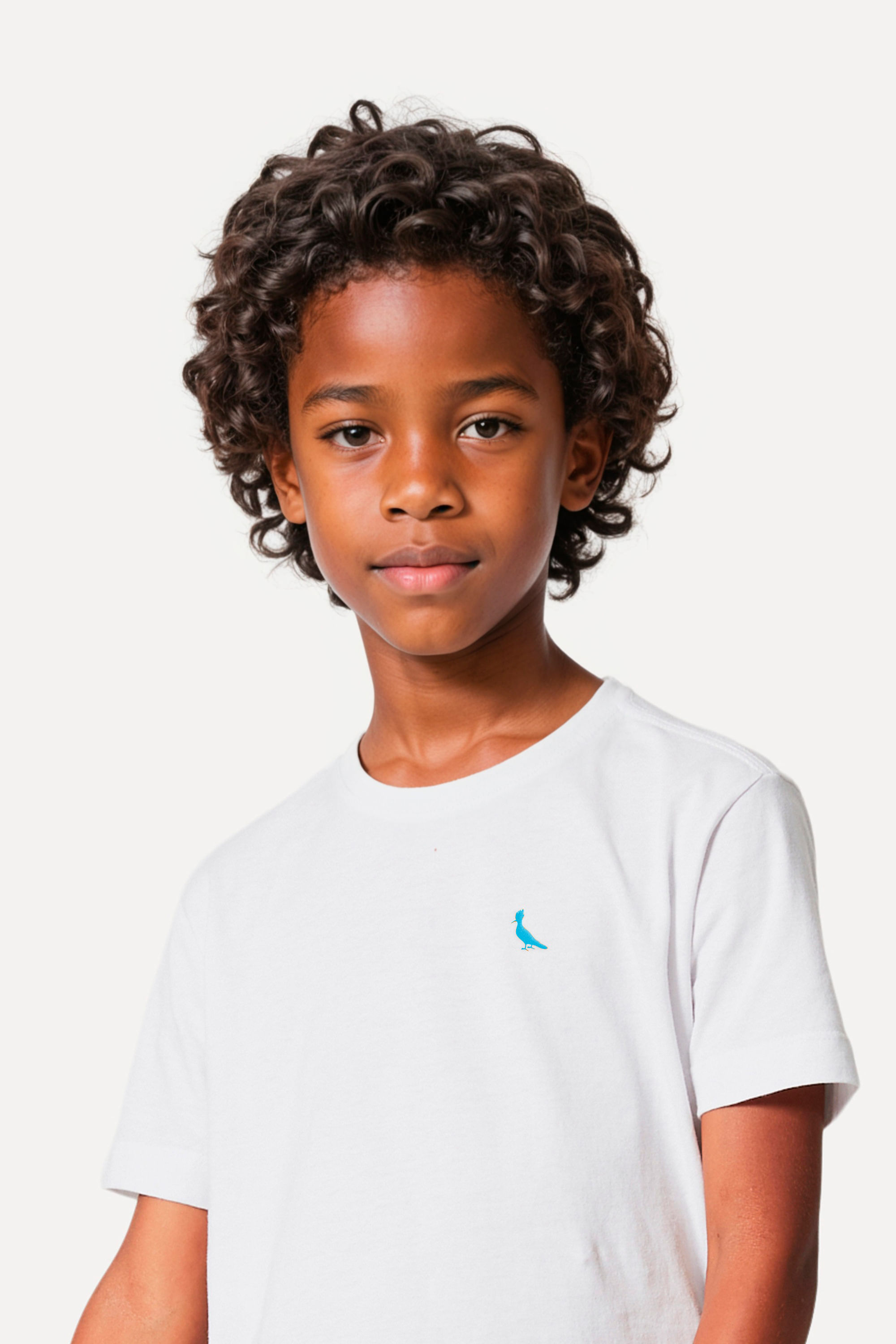 Camiseta Mini Pica Pau Bordado Ceu