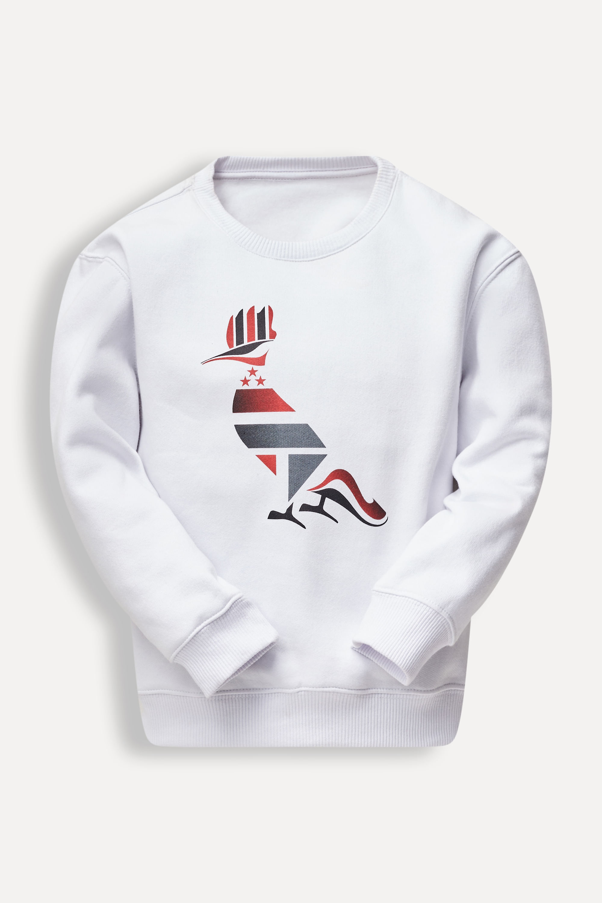 Sueter Moletom Mini Pp Sao Paulino